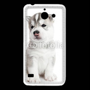 Coque Huawei Y550 Chiot Husky Sibérien 500