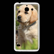 Coque Huawei Y550 Portrait de chiot Labrador 800