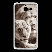 Coque Huawei Y550 Couple de lion et lionne 500