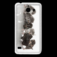 Coque Huawei Y550 Petit chat en folie 500