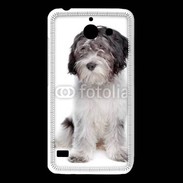 Coque Huawei Y550 Schapendoes Dutch Sheepdog