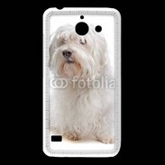 Coque Huawei Y550 Bichon Maltais 600