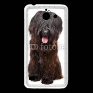 Coque Huawei Y550 Briard adulte 600