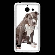 Coque Huawei Y550 American staffordshire bull terrier