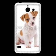 Coque Huawei Y550 Jack russel terrier puppy 800