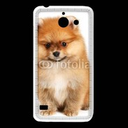 Coque Huawei Y550 Spitz Dog 800