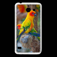 Coque Huawei Y550 Aratinga Solstitialis