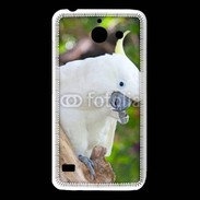 Coque Huawei Y550 Oiseau Cacatoès blanc 25