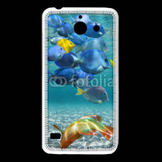 Coque Huawei Y550 poisson tropical 3