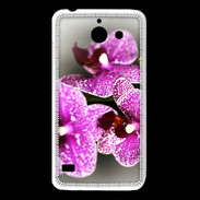 Coque Huawei Y550 Belle Orchidée PR