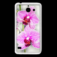Coque Huawei Y550 Belle Orchidée PR 30