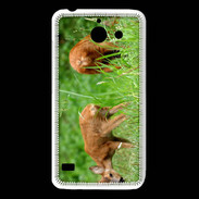 Coque Huawei Y550 Chevreuil PB 1