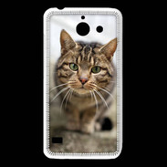 Coque Huawei Y550 Portrait de chat PR