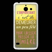 Coque Huawei Y550 Un peu félé ZG