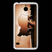 Coque Huawei Y550 Guyane 973