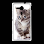 Coque Sony Xpéria SP chaton gris 4