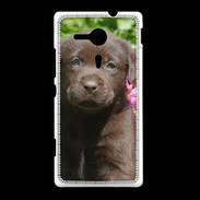 Coque Sony Xpéria SP Chien labrador chocolat 3