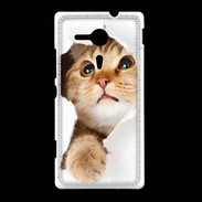 Coque Sony Xpéria SP Chaton caché