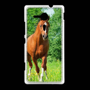 Coque Sony Xpéria SP Cheval arabe robe marron et blanche