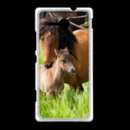 Coque Sony Xpéria SP Cheval et poulain