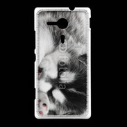 Coque Sony Xpéria SP Chiot Husky