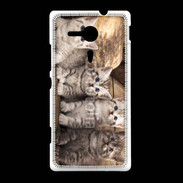 Coque Sony Xpéria SP Chaton gris 2