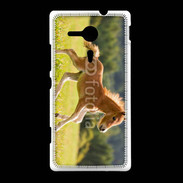 Coque Sony Xpéria SP Poulain dans un champs