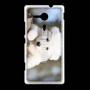 Coque Sony Xpéria SP Chiot berger blanc suisse