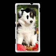 Coque Sony Xpéria SP Adorable chiot Border collie