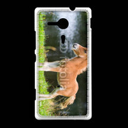 Coque Sony Xpéria SP Poulain marron et blanc