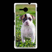 Coque Sony Xpéria SP Chiot American Staffordshire terrier 