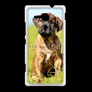 Coque Sony Xpéria SP Portrait d'un mastiff