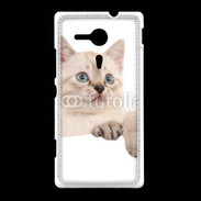 Coque Sony Xpéria SP Petit chaton en portrait