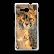 Coque Sony Xpéria SP Jeune félin