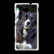 Coque Sony Xpéria SP Border collie 500