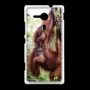 Coque Sony Xpéria SP Famille de singe 50