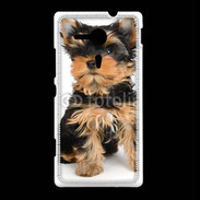 Coque Sony Xpéria SP Yorkshire terrier 15