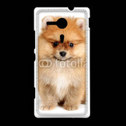 Coque Sony Xpéria SP Chiot Spitz 15