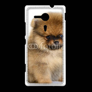 Coque Sony Xpéria SP Chiot Pomeranian 15