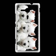 Coque Sony Xpéria SP Trio de chiot Terrier