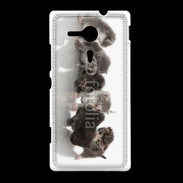 Coque Sony Xpéria SP Petit chat en folie 500