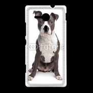 Coque Sony Xpéria SP American Staffordshire Terrier puppy