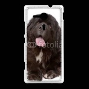 Coque Sony Xpéria SP Chiot Terre neuve 500