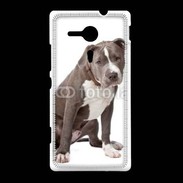 Coque Sony Xpéria SP American staffordshire bull terrier