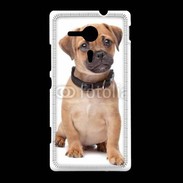 Coque Sony Xpéria SP Cavalier king charles 700