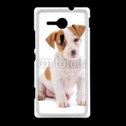 Coque Sony Xpéria SP Jack russel terrier puppy 800