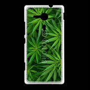 Coque Sony Xpéria SP Feuilles de marijuana