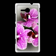 Coque Sony Xpéria SP Belle Orchidée PR