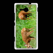 Coque Sony Xpéria SP Chevreuil PB 1