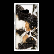 Coque Nokia Lumia 735 Chiot Saint Bernard